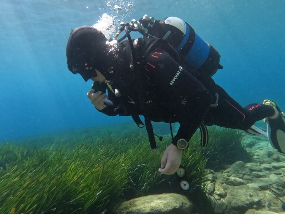 Diver over Posidonia oceanica seagrass meadow